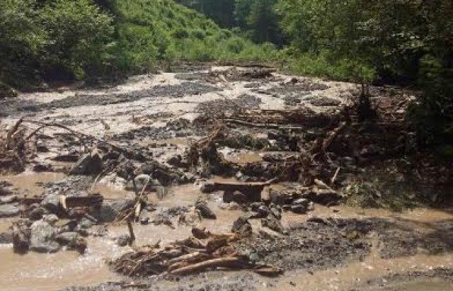 В реку сошли порубленные остатки из Карпатского биосферного заповедника