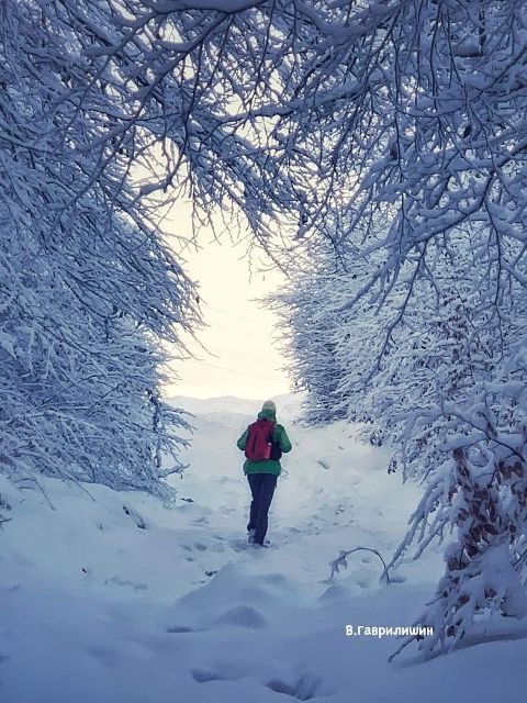 Зима в Карпатах: Фантастичні світлини гір, що заворожують 