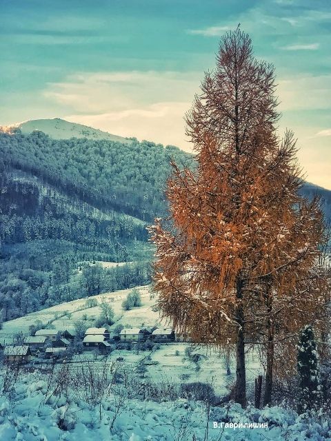 Зима в Карпатах: Фантастичні світлини гір, що заворожують 