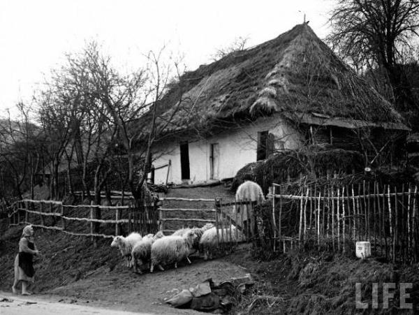 Дом в горной части Закарпатья, 1939