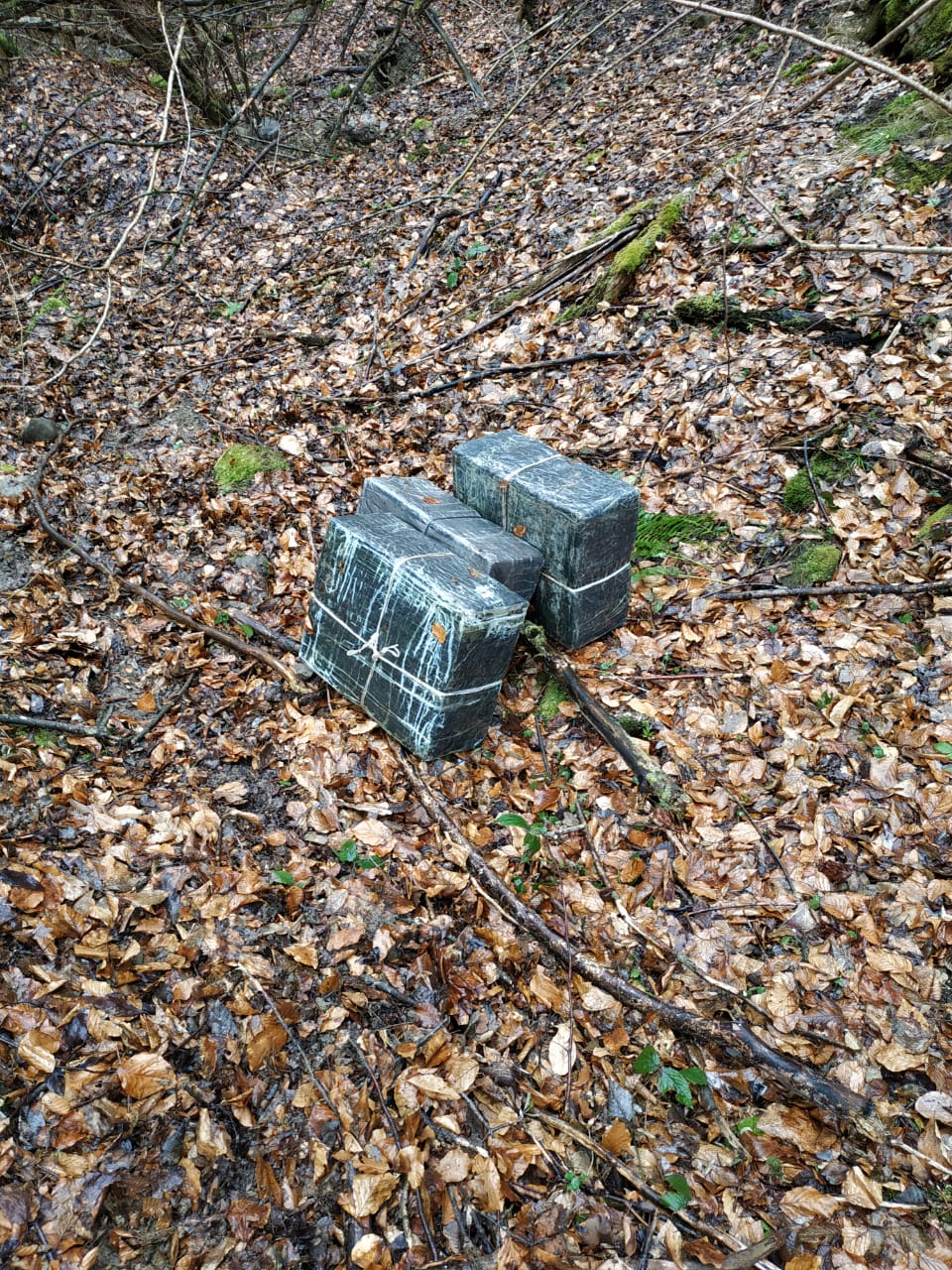 На Закарпатье в лесах вместо грибов находят брошенные коробки с "подарками"
