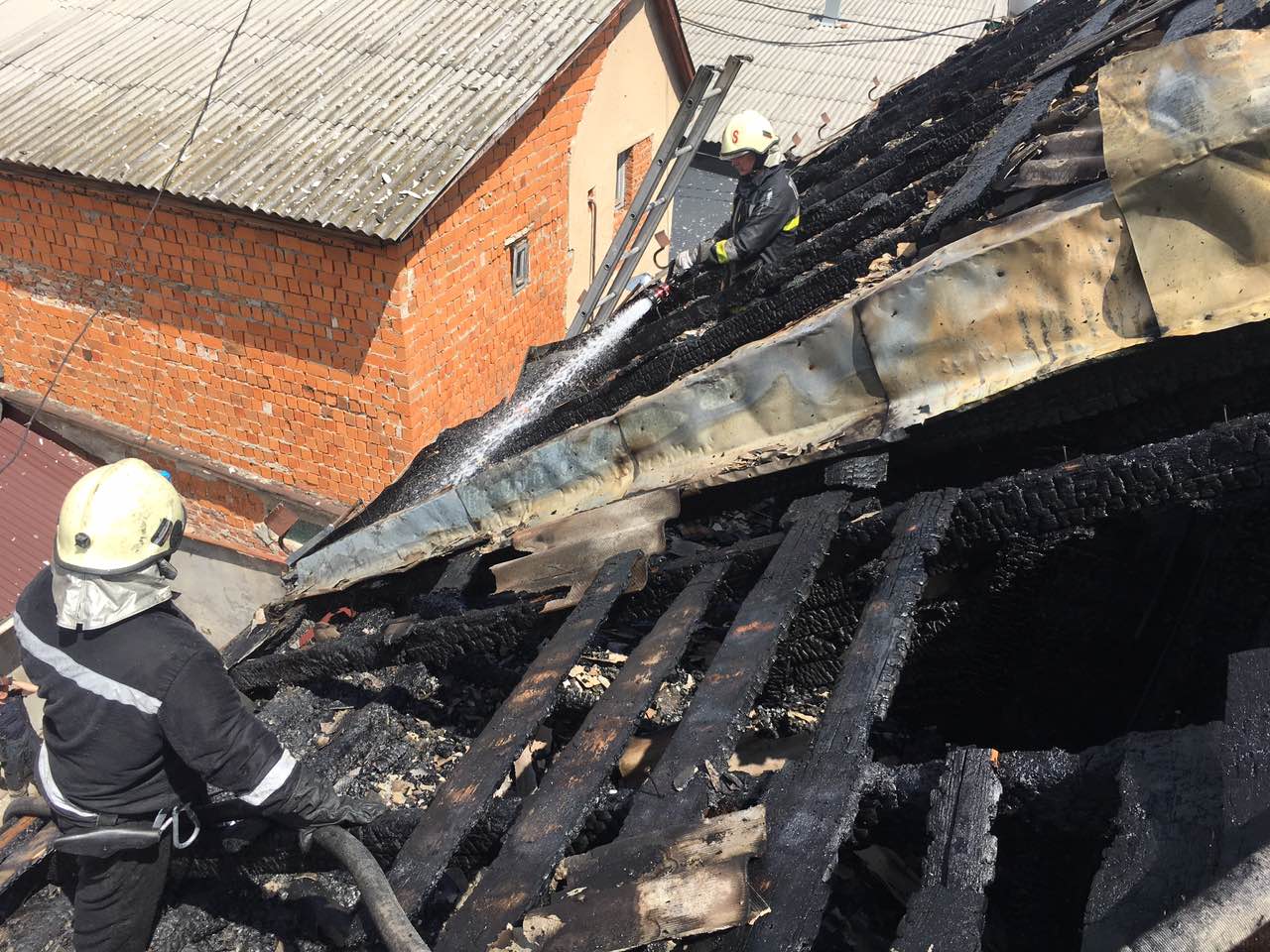 Пожарные рассказали все детали об резонансном происшествии в Закарпатье