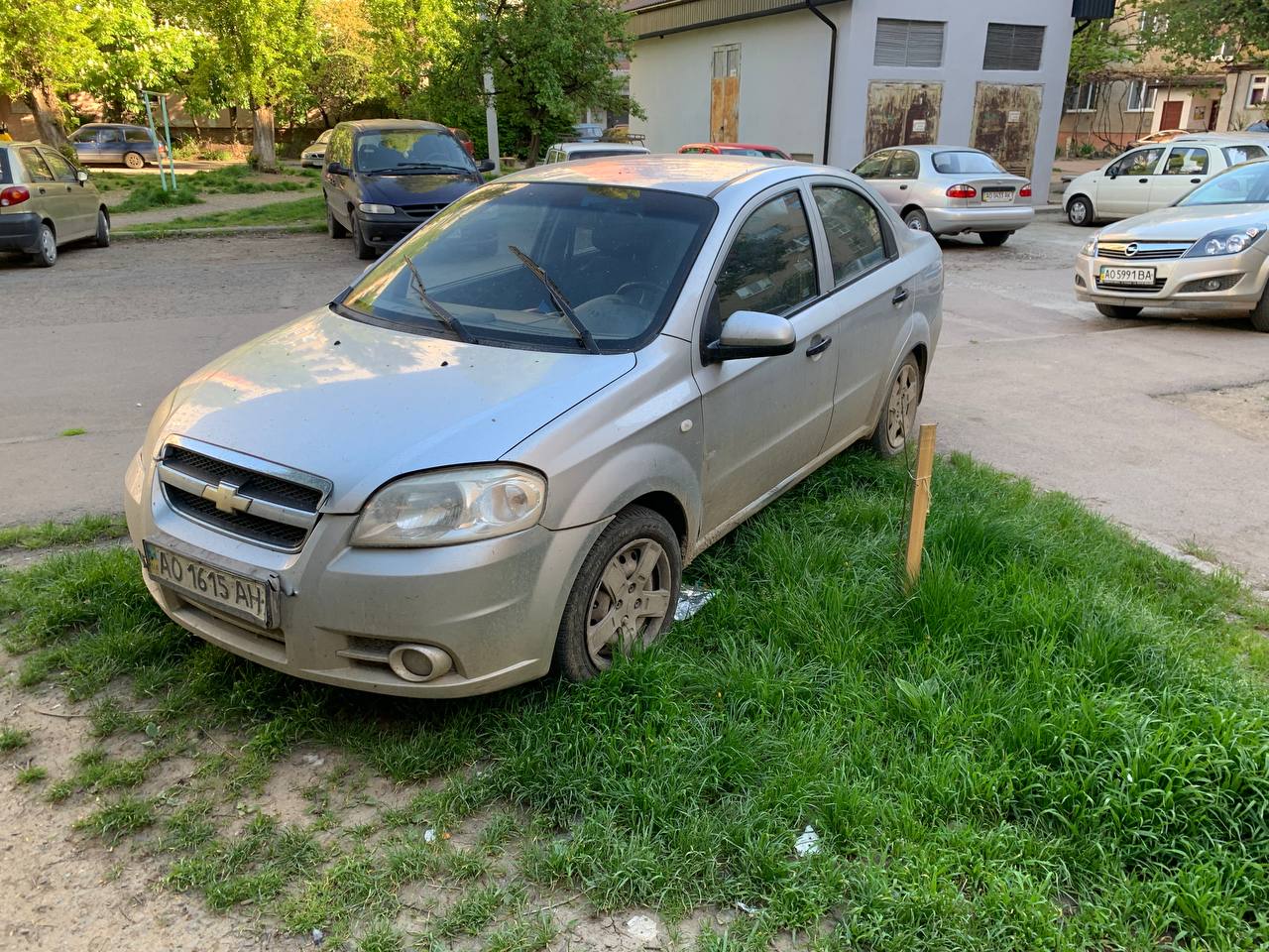 В Ужгороде с парковками оленей творится полный бардак