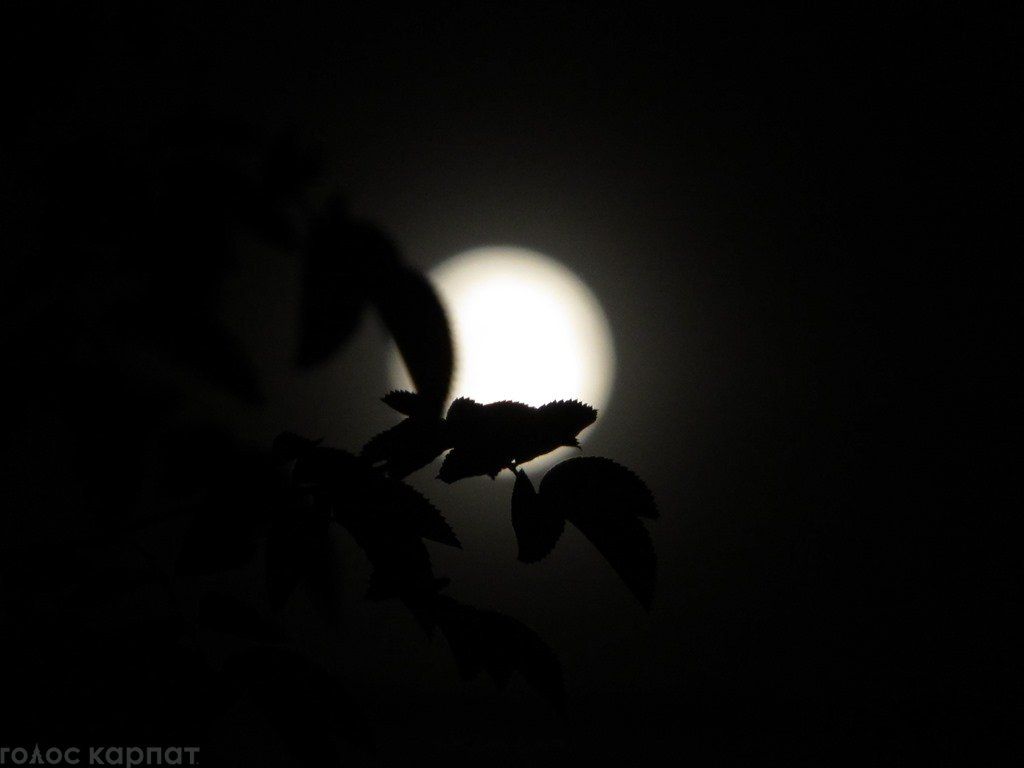 В небе над Закарпатьем в канун затмения сошла живописная полная луна