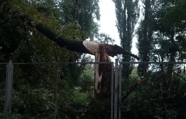 Неконтролируемый ураган перевернул Ужгород с ног на голову 