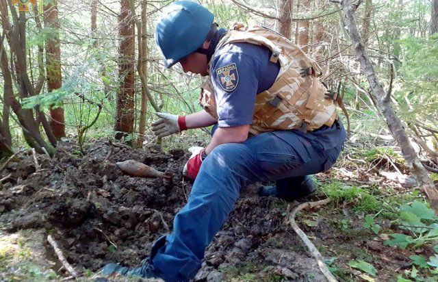 В Закарпатье весь лес просканировали металлоискателем: Количество найденного просто шокирует