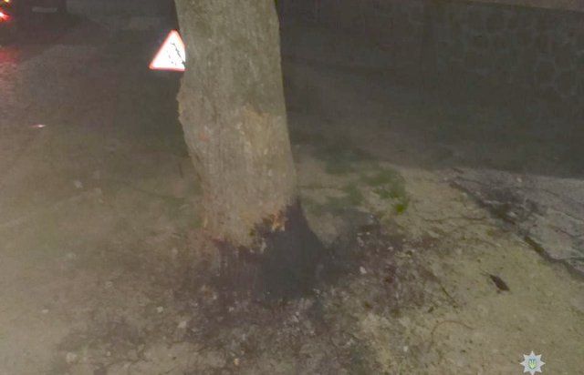 Машину заметили патрульные: В Закарпатье бедолага разбил машину об дерево