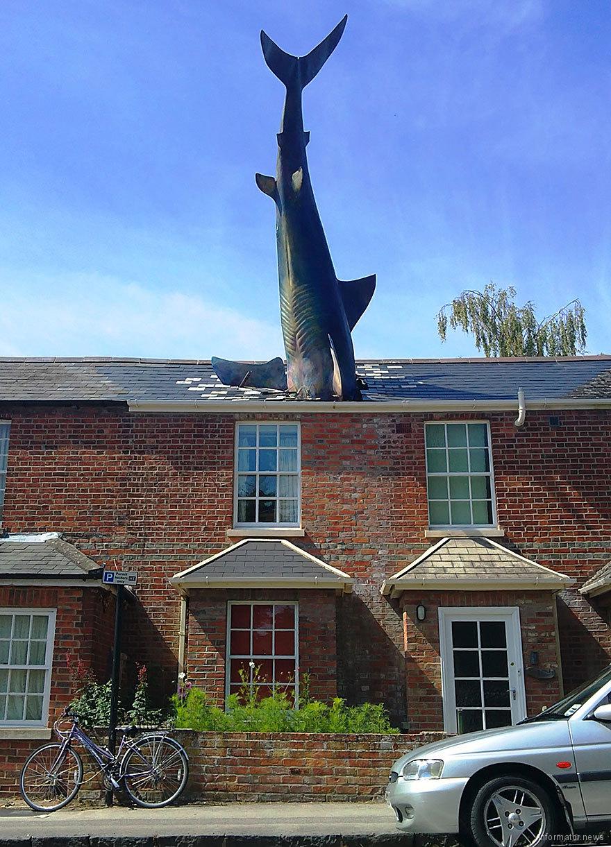 «Акула», Оксфорд, Великобритания