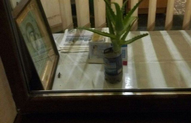 Мукачевец сфотографировал тараканов через окно местной, известной всем, пекарни