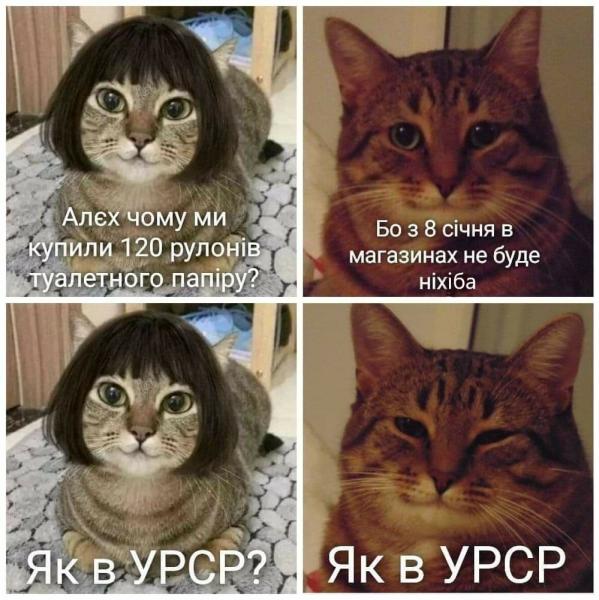 Мемы про "карантин зимных каникул" разрывают соцсети в Закарпатье 