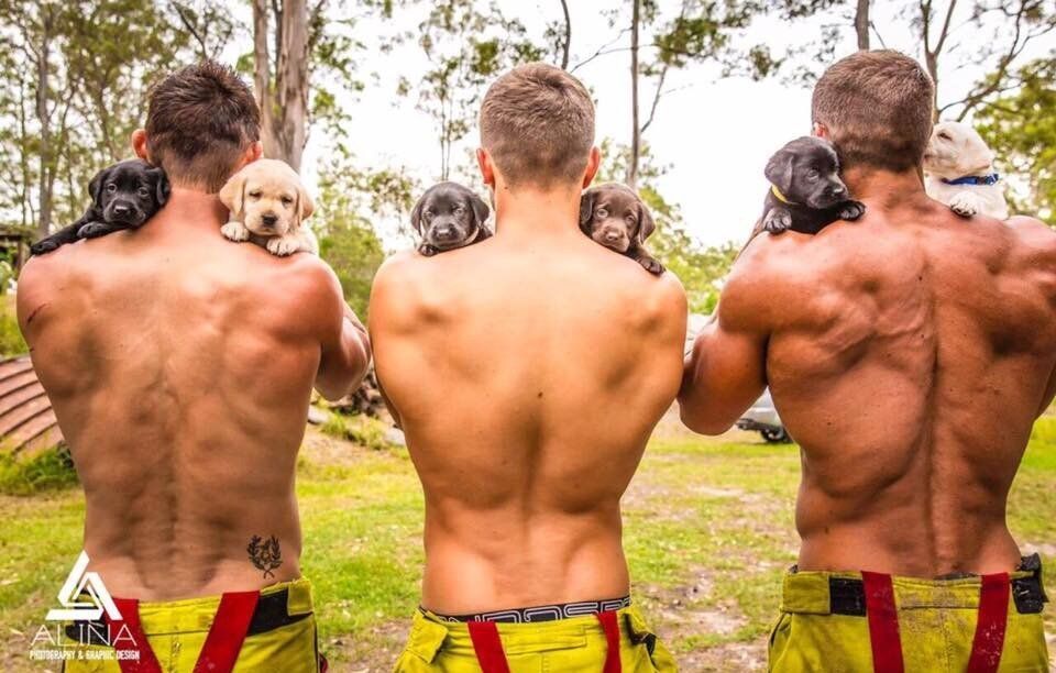 Команда австралийских пожарных разместила благотворительный календарь на 2017 г.