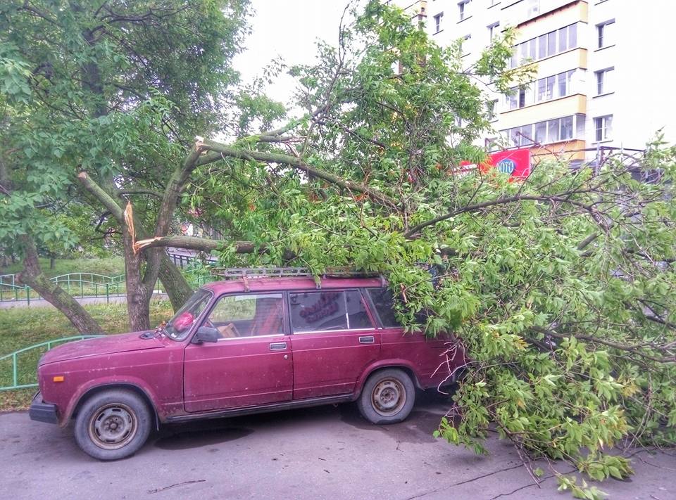 Сильный ураган обрушился на российскую столицу