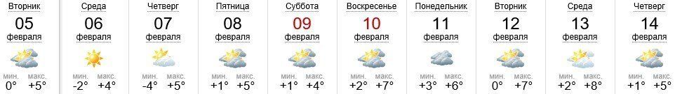 Погода в Ужгороде на 5-14.02.2019