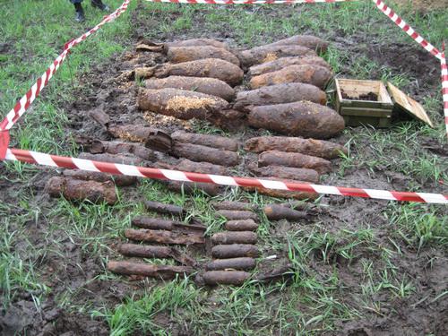 МЧС Закарпатья обезвредили в лесу 40 ржавых боеприпасов