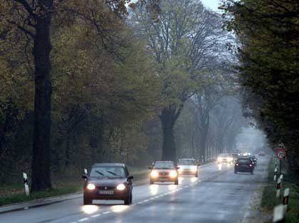 Водители на словацких дорогах обязаны ездить с включенными фарами