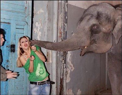 Светлана Лобода пришла покормить львовских слонов.