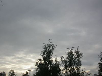 Погода в Ужгороде : переменная облачность, без существенных осадков