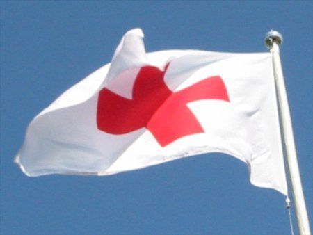 Красный Крест Венгрии привез 120 тысяч масок и лекарства на 25 тыс. долл.