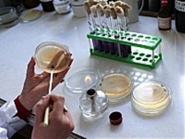Единственная в Ужгороде бактериологическая лаборатория продана мэром Ратушняком