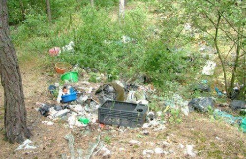 Утверждены штрафы для тех, кто мусорит в лесах Закарпатья
