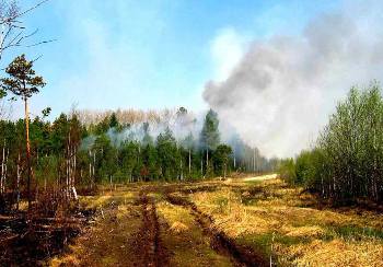 В Закарпатье май может быть пожароопасным