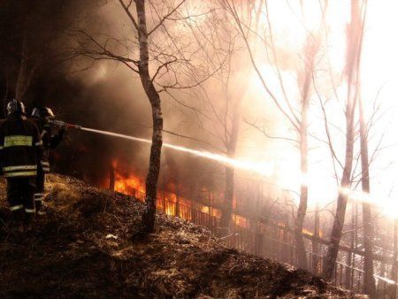 В Ужгородском районе 120 абонентов остались без газа из-за пожара на газопроводе