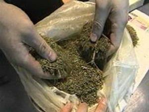 На Закарпатье количество наркоманов увеличилось в несколько раз
