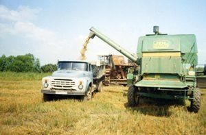 В Ужгородском районе приступили к уборке урожая озимых зерновых