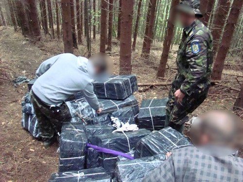 В Румынии пограничники обнаружили в лесу 1250 блоков сигарет