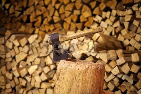 Сейчас за 8 кубометров древесины просят в среднем 2600 гривен