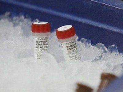 В Швеции люди гибнут от вакцины свиного гриппа