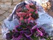 В Ужгороде уже массово торгуют редкими первоцветами