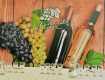 Французькі сомельє оцінять якість закарпатського вина на "Угочанській лозі"