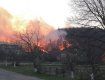Закарпаття: На Мукачівщині горить ліс: пожежа посилюється