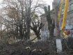 В Ужгороді комунальники по-варварськи знищують родзинку міста - липи