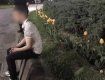 Закарпаття. Патрульні впіймали посеред ночі на площі в Ужгороді юного злодія-квітникаря