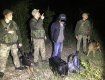 Иностранцев без документов задержали пограничники в Закарпатье