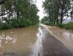 Увага! Проїзд трасою Мукачево-Рогатин від села Сільце до села Вільхівка ускладнений — через підтоплення!