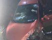 ДТП в Мукачево: "Блондинка" за рулём была навеселе, а на месте ремня безопасности - заглушки