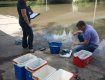 Держекологи Закарпаття відібрали проби води у прикордонних річках Словаччини