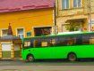 Заакарпаття. Автобус збив пішохода в Мукачево — водій навіть не зупинився