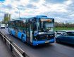 Счастье! С понедельника в Ужгороде снова заработают городские автобусные маршруты