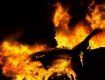 Тридцятирічна іномарка згоріла вщент на Закарпатті