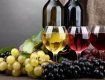 Малі винороби Закарпаття мають змогу отримати ліцензію за спрощеною системою