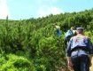 Турист травмував ногу на найвищій гірській вершині Закарпаття