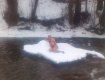 Моржі Закарпаття відкрили зимовий купальний сезон 