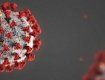 Закарпаття "вибухнуло" кіклькістю захворілих на коронавірус COVID-19