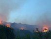 Нічна пожежа на Закарпатті локалізована — горіли суха трава, чагарники та старі виноградники