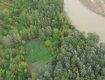 Вести с полей: В Закарпатье накрыли масштабную плантацию с канабисом на 18 млн
