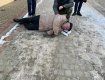 Скорая не успела: В Ужгороде посреди улицы умер человек 
